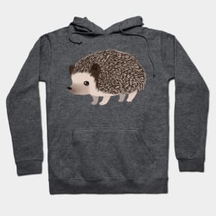 Adorable Hedgehog Hoodie